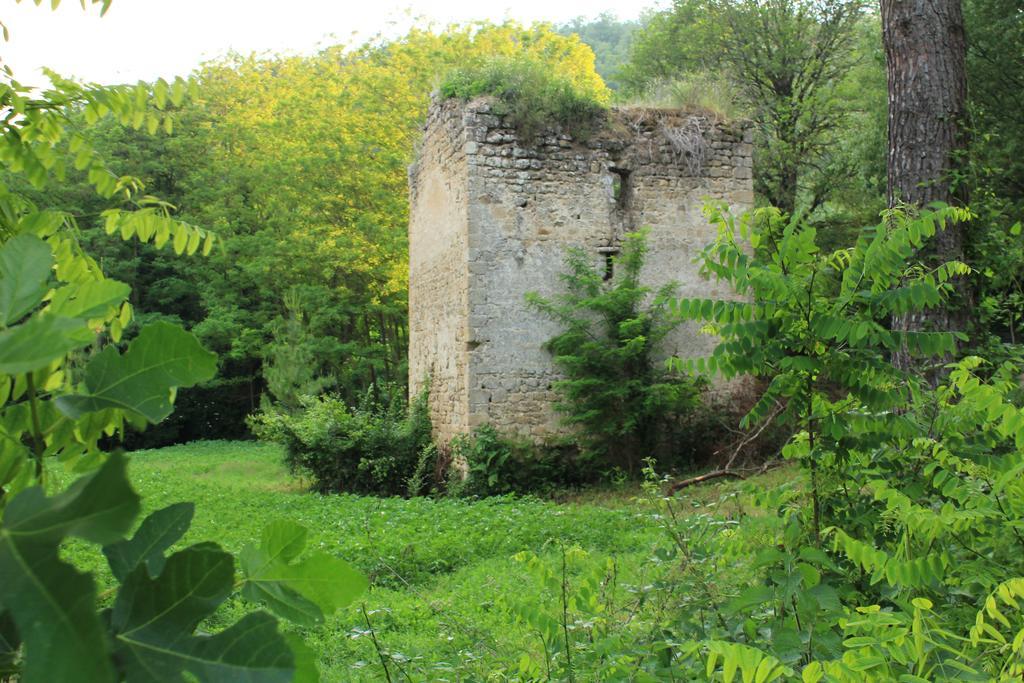 Il Molinaccio Al Rio Chiaro Βίλα Civitella dʼAgliano Εξωτερικό φωτογραφία