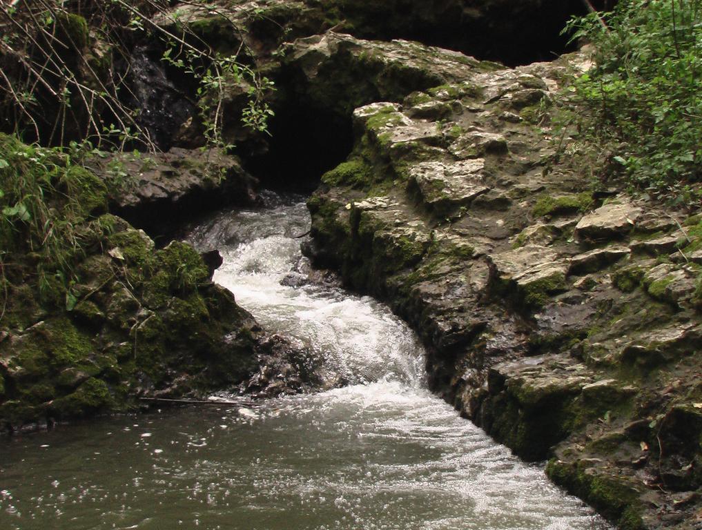 Il Molinaccio Al Rio Chiaro Βίλα Civitella dʼAgliano Εξωτερικό φωτογραφία